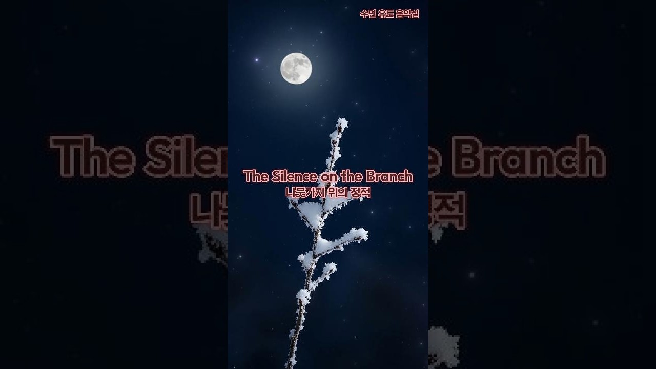 [6시간] 나뭇가지 위의 정적, 겨울이 머문 마지막 자리 ❄️ | 잠잘때 듣는 음악, 숙면을 위한 음악, 마음이 편안해지는 음악