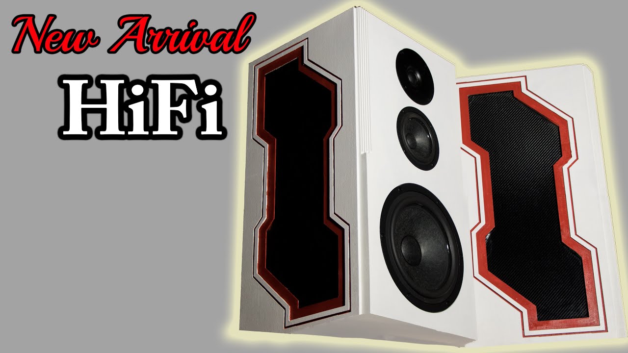 Building a ONE OF A KIND HiFi Speaker - No one has these DIY Speaker Driver