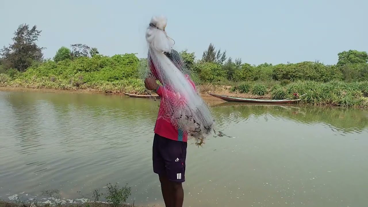 Amazing net# FISHING# video 🦈🐟🦈🦈🐬🐬🐬🐟🦈🦈🐬🐟🦈🐬