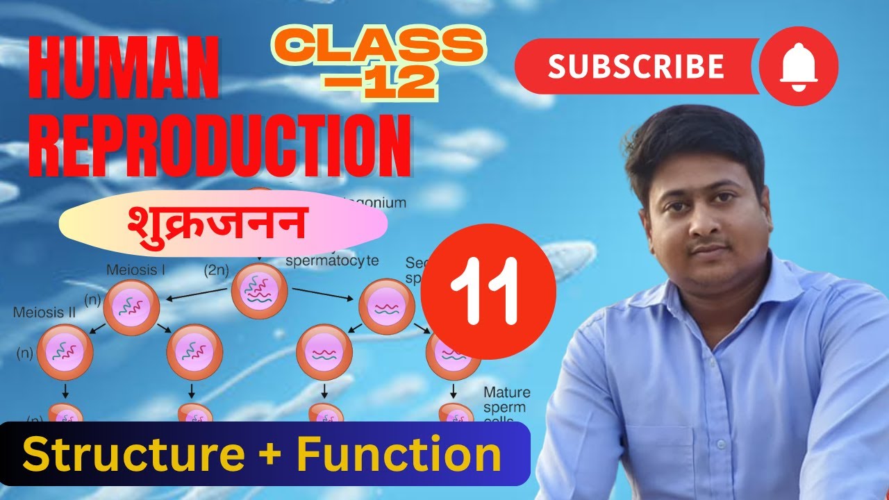 युग्मक जनन (Gametogenesis) | Class 12 Biology | Spermatogenesis & Oogenesis | NEET + Board Special