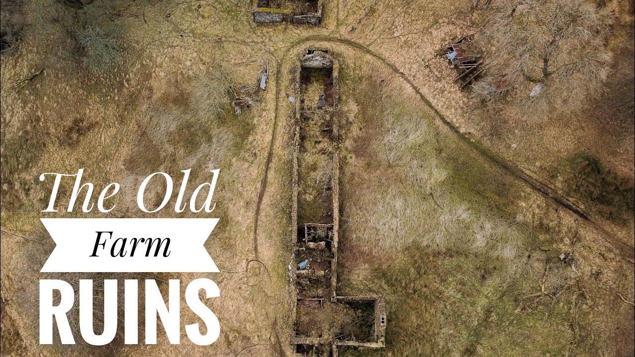 The Old Farm Ruins