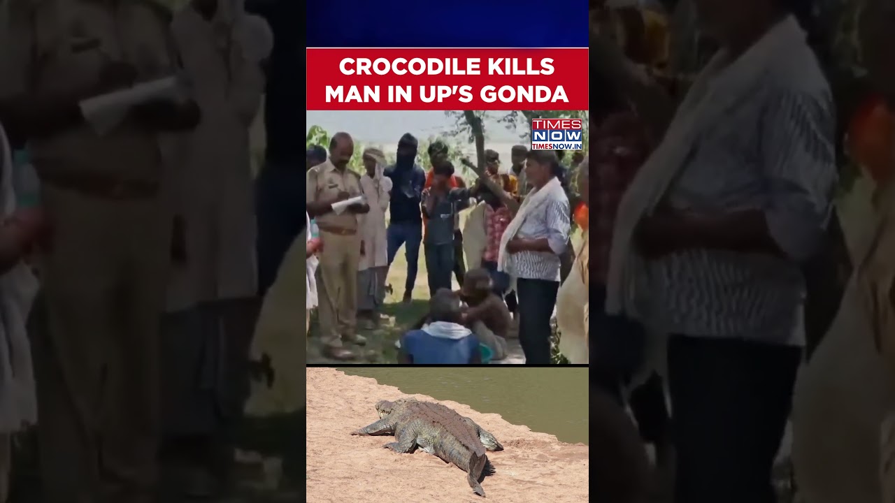 UP Horror: Man Dragged Away By Crocodile While Preparing Mother-In-Law&rsquo;s Funeral Pyre In Gonda