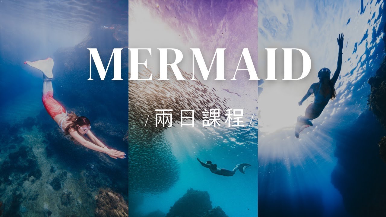 【美人魚訓練｜兩日課程】初學者首選＿可遇不可求的夢幻魚群🐠