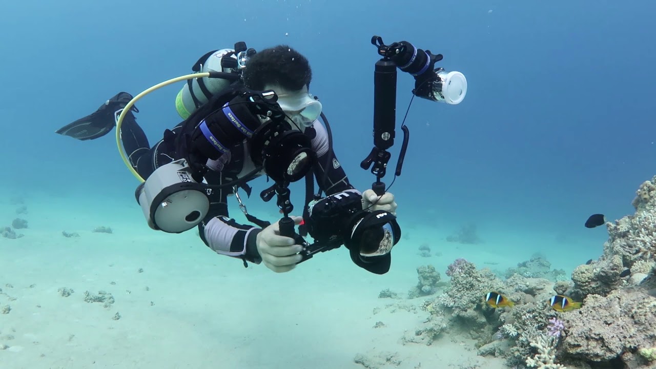 Fantasea-AOI Quick Release System - QRS