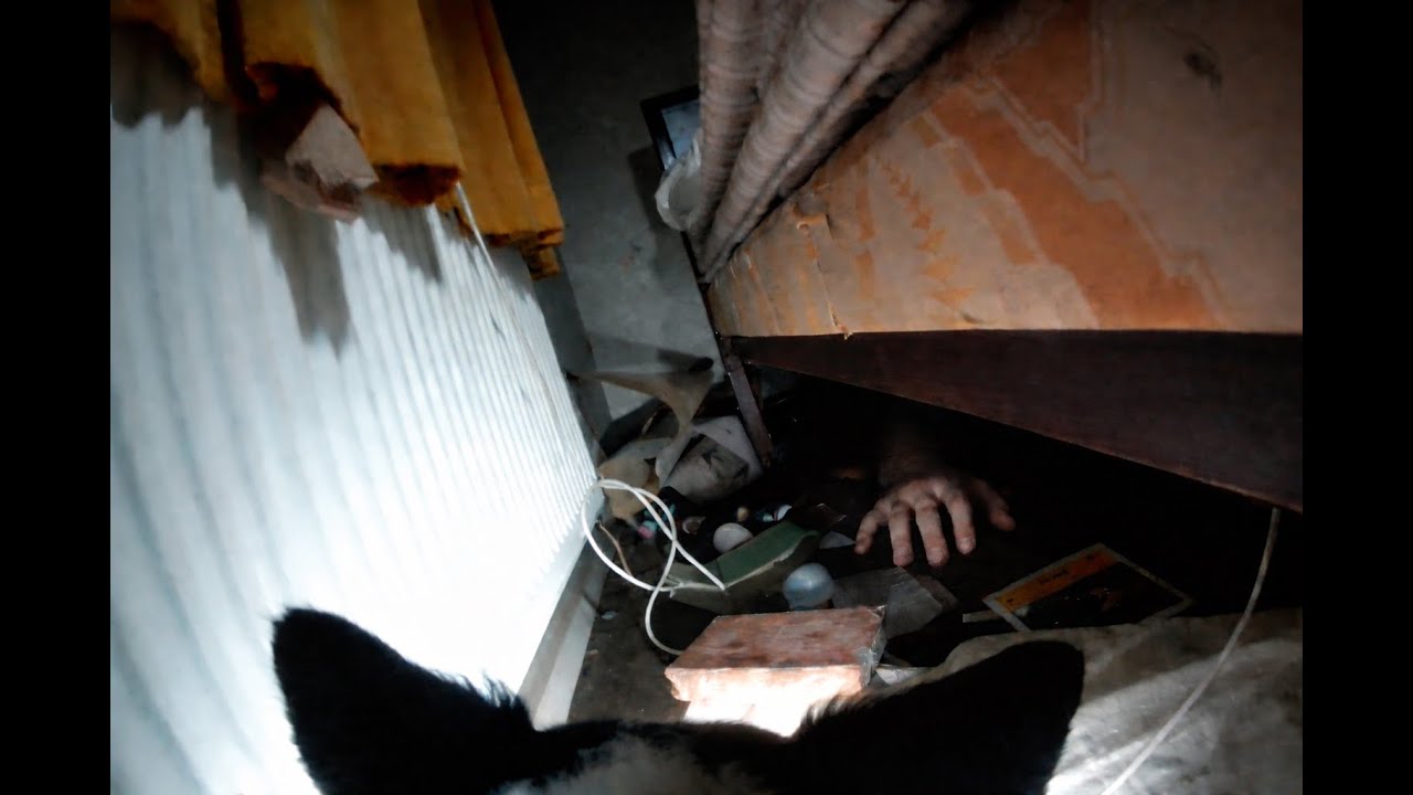 Top 4 Urban Explorations gone wrong!