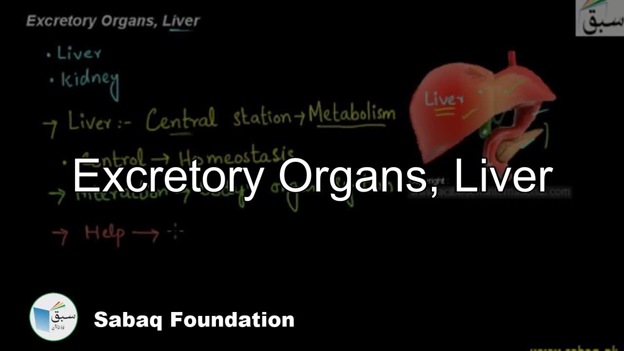 Excretory Organs, Liver, Biology Lecture | Sabaq.pk