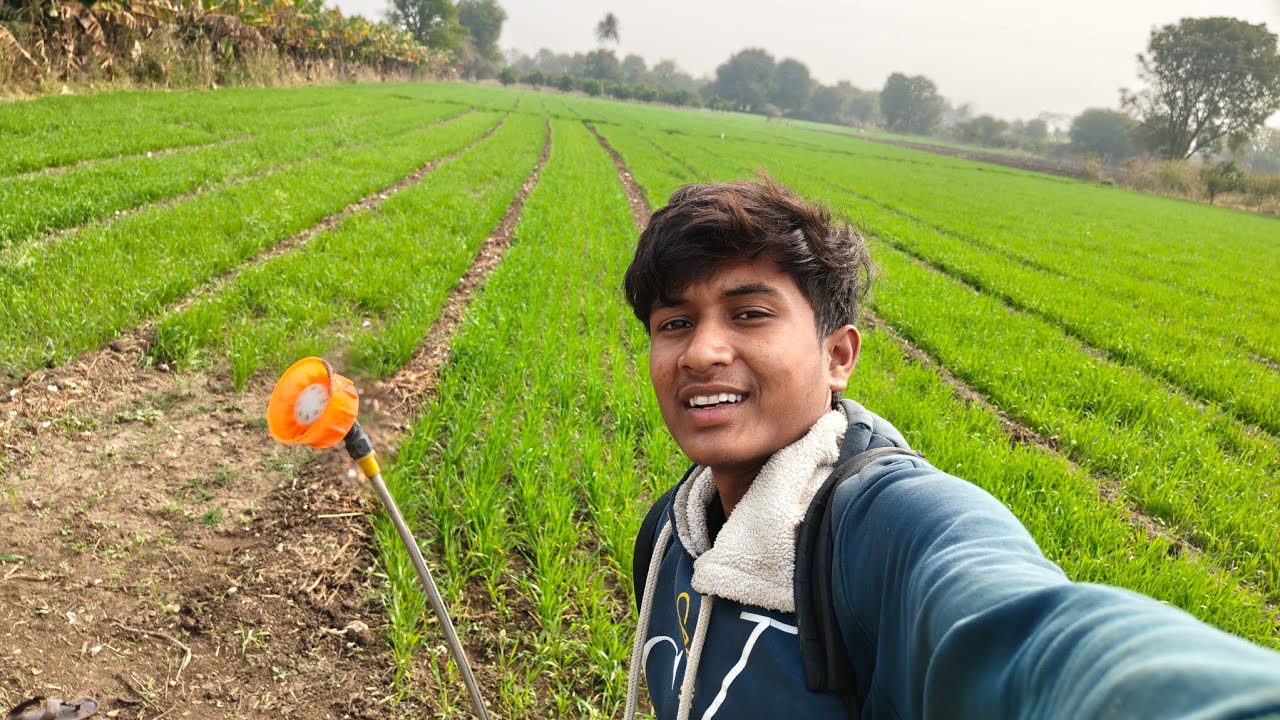 My 🌿 farming 🌾 life and 🏡my mini 🏡village