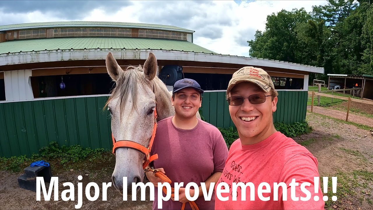 Making BIG Improvements For Our Stable! | Time For Some UPGRADES