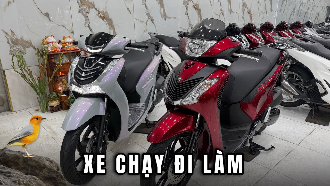 Mua Honda Sh đi làm: Sh Cá Trê Sh Lên Ý Qua Sử Dụng.