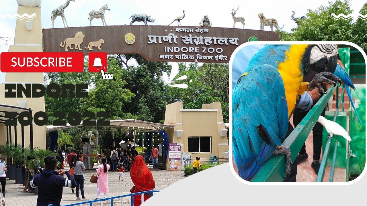 Indore zoo । White tiger। snack house। chidiyaghar Indore