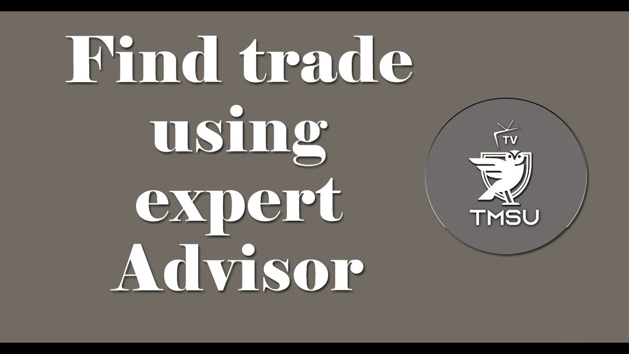 How to Find Trade Using Metastock-Expert Advisor