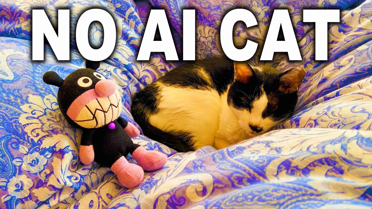 No AI CAT 🐈️ Lofi STUDY MUSIC · For Focus or Sleep & Anxiety ADHD Relief