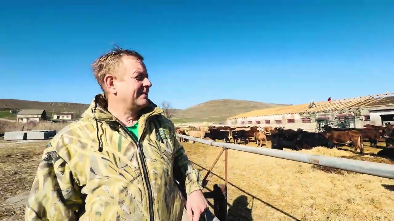 Вы только посмотрите КАКОЙ ПРИПЛОД дали наши многострадальные зебу!!!