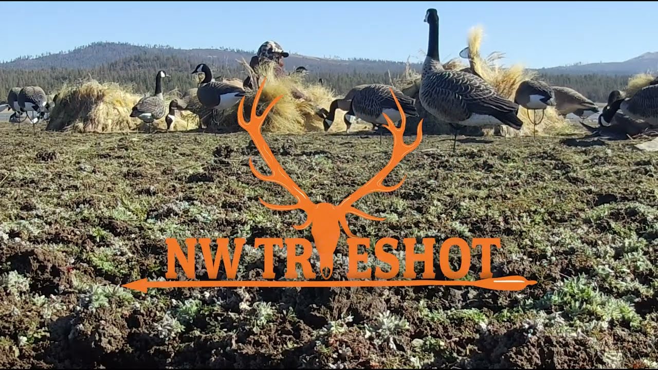 Waterfowl Hunting || NW Trueshot