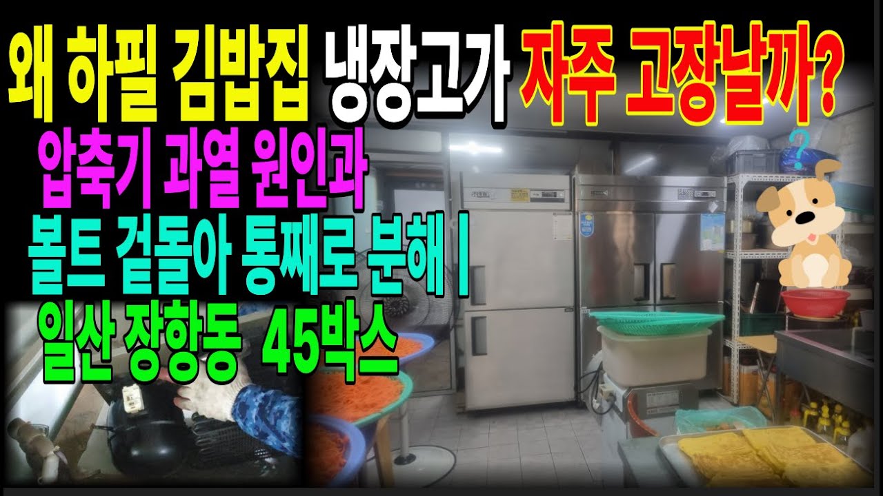 1106왜 하필 김밥집 냉장고가 자주 고장날까? | 압축기 과열 원인과 볼트 겉돌아 통째로 분해😱 | 일산 동구 장항동 김밥공장 45박스업소용냉장고