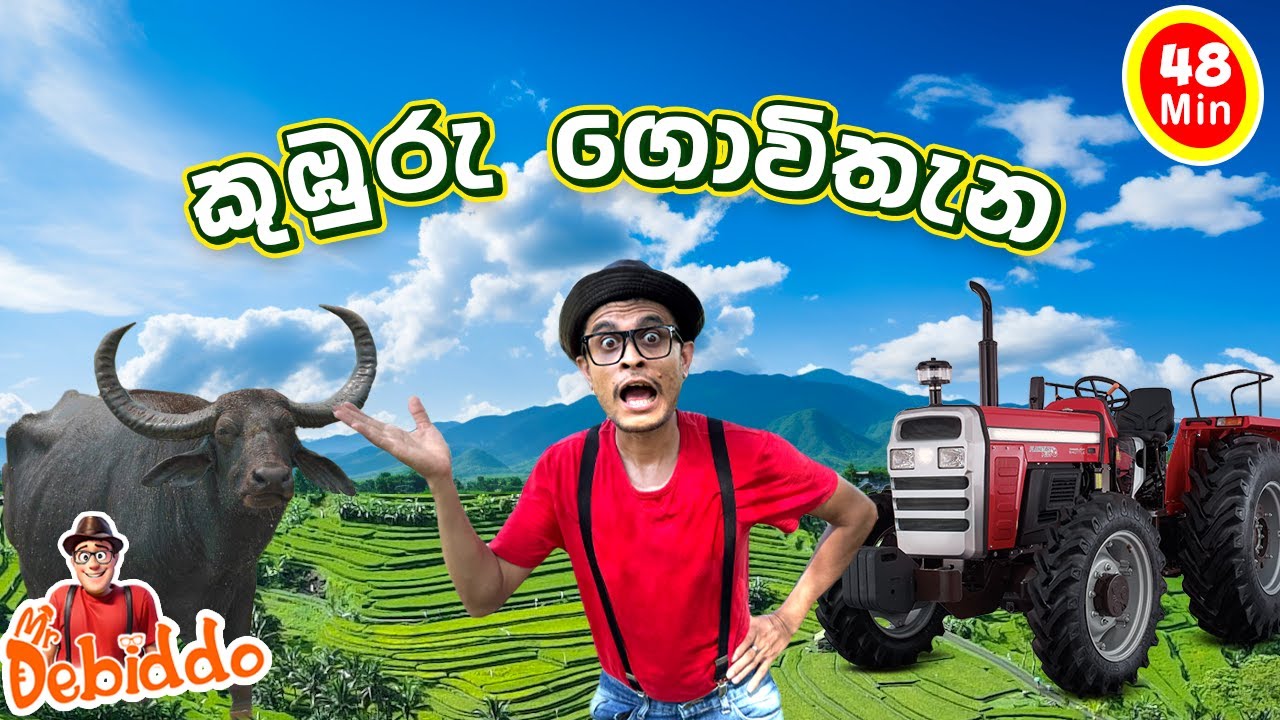 වී වගාව මුල සිට| Mr. Debiddo Paddy Cultivation Video For Kids| Education For Preschool| Kuburu