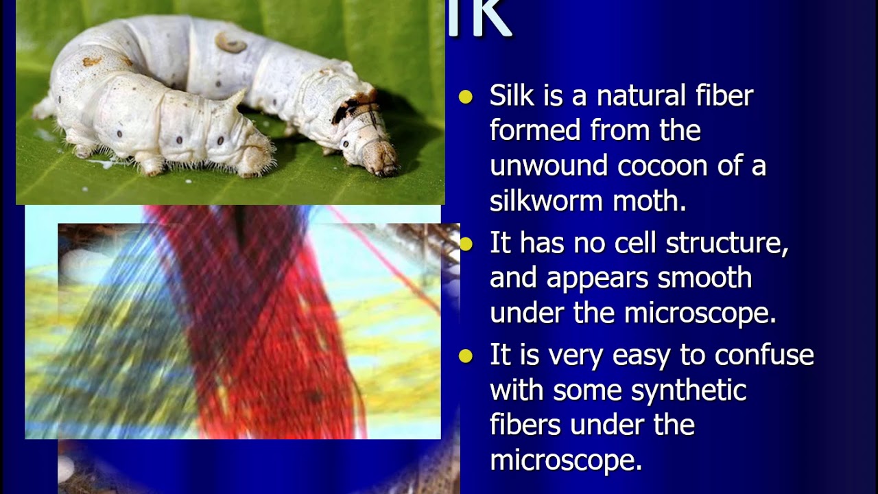 Forensic Fibers