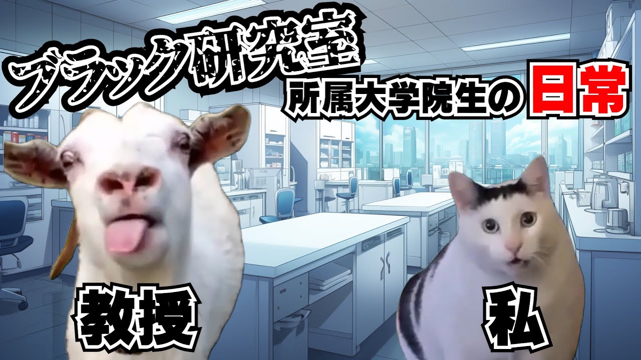 ブラック研究室で48連勤した大学院生実況者のお話【猫ミーム】#猫ミーム #猫マニ