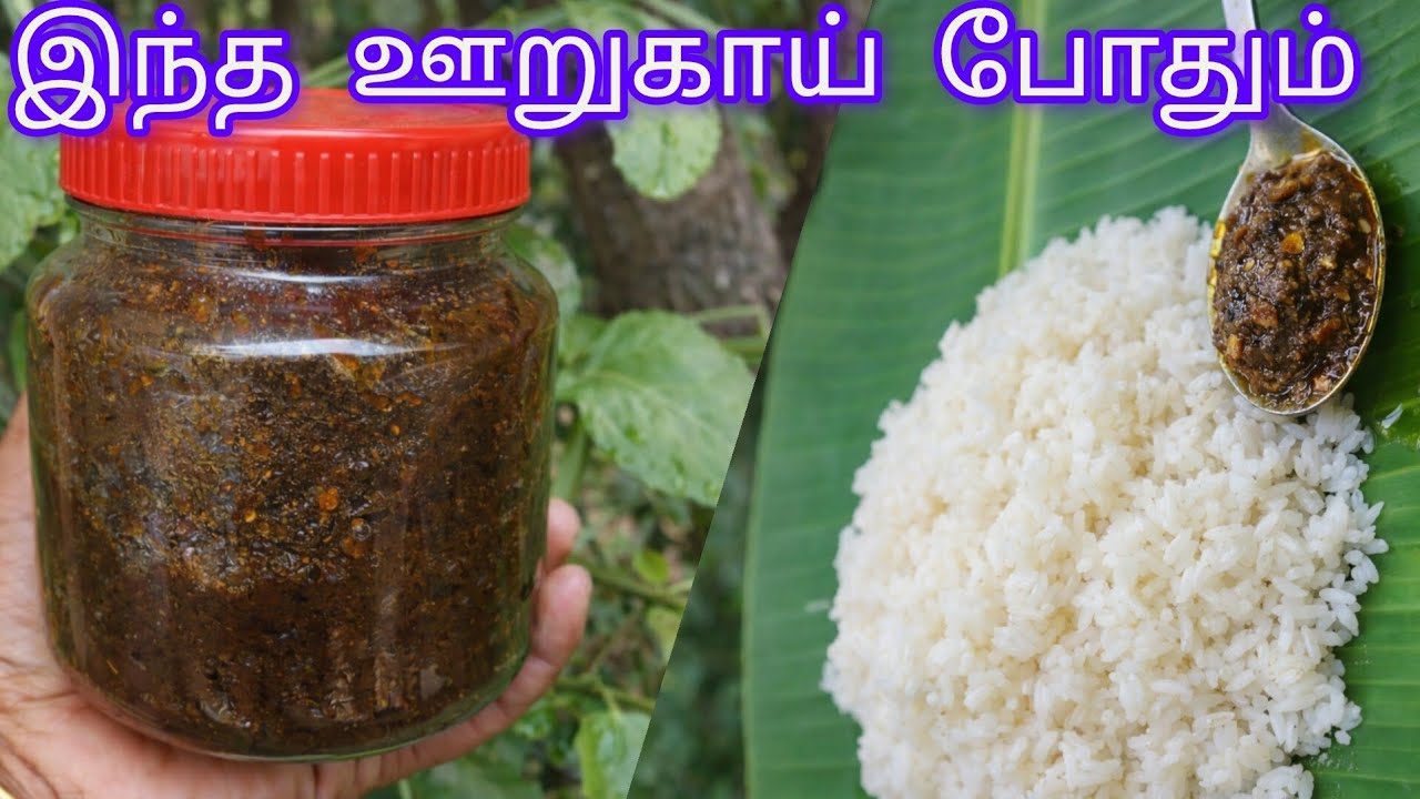 60 year old recipe of peirandai pickle / traditional foods peirandai oorukai😋