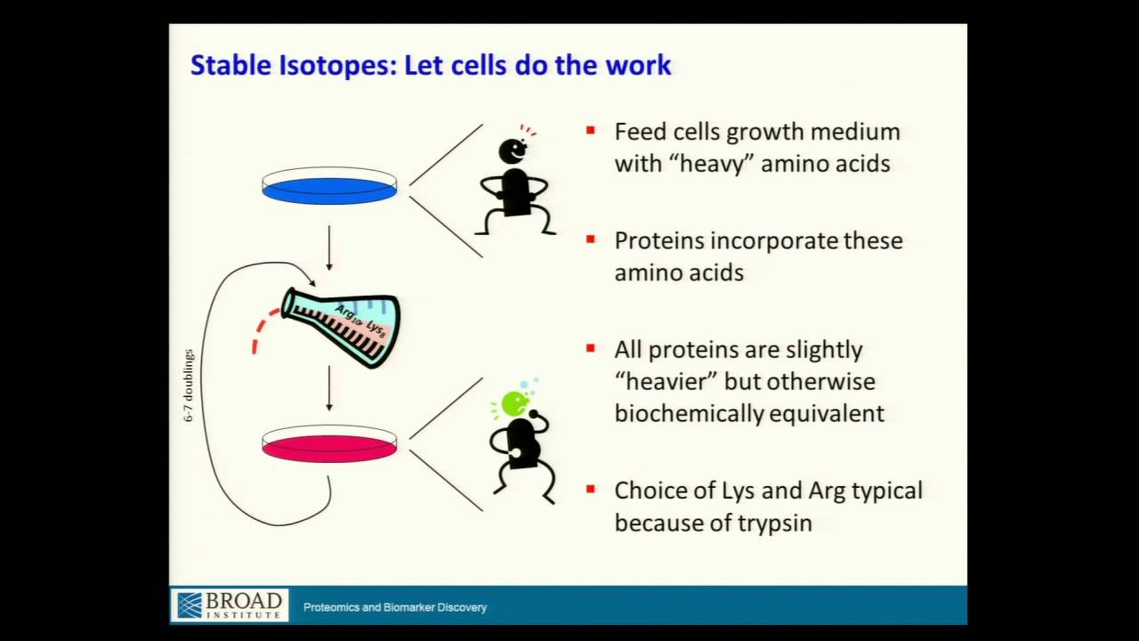BroadE: Quantitative methods in proteomics
