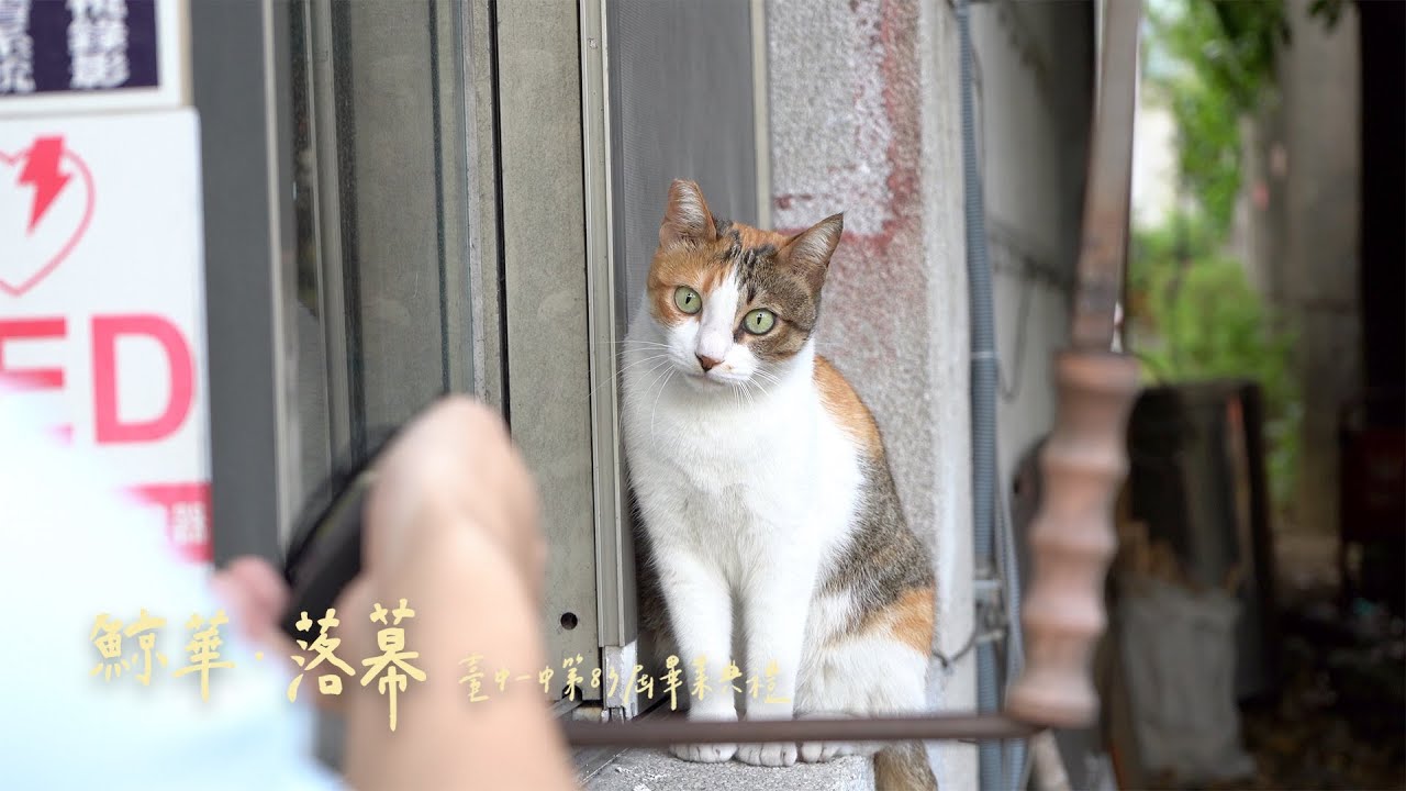 臺中一中第83屆畢業典禮《鯨華・落幕》【校外街訪】feat. 臺中女中、臺中二中、文華高中、興大附中