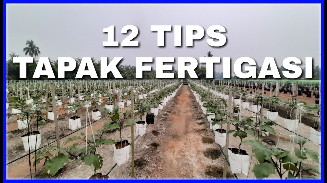 12 Tips Memilih Tapak Kebun Fertigasi