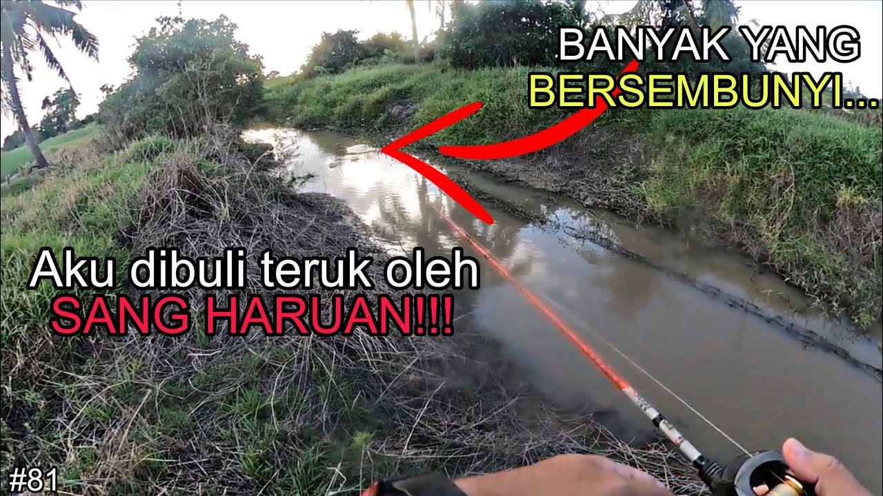 BARU TURUN GEWANG… TERUS STRIKE! SPOT HARUAN CENDOL! | CASTING HARUAN | BURNLEGACY