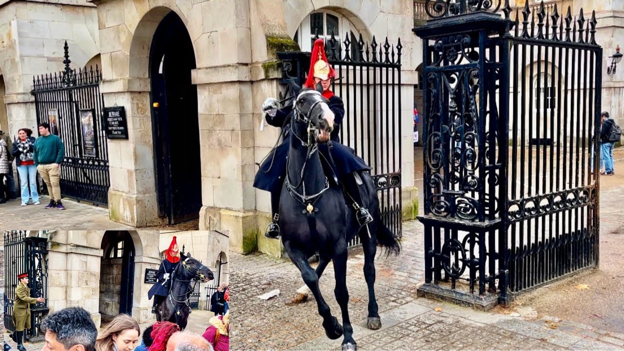 Incredible Horsemanship: Royal Guards Handle High Drama at Horse Guard!"