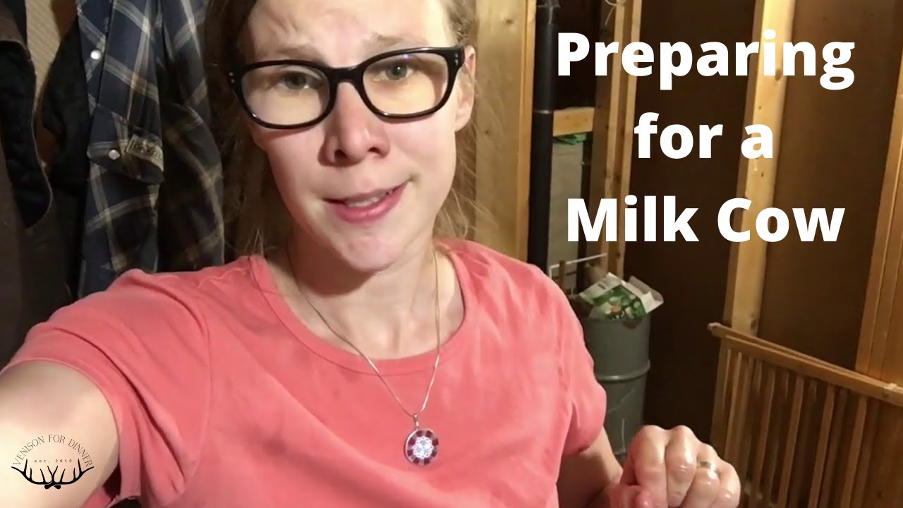 How to Prepare a Homestead for a Milking Cow {Homesteading Video}
