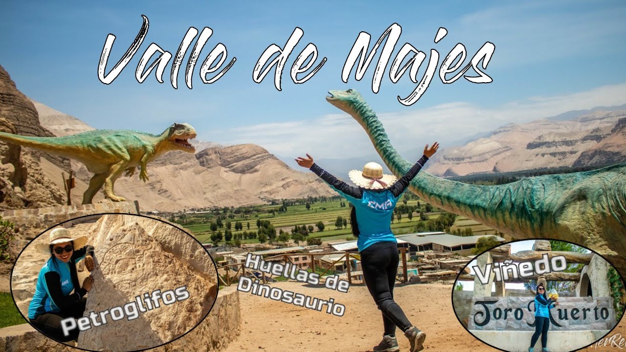 Valle de Majes:Petroglifos Toro Muerto,Huellas dinosaurio Querulpa, Chancharay y Viñas Toro Muerto