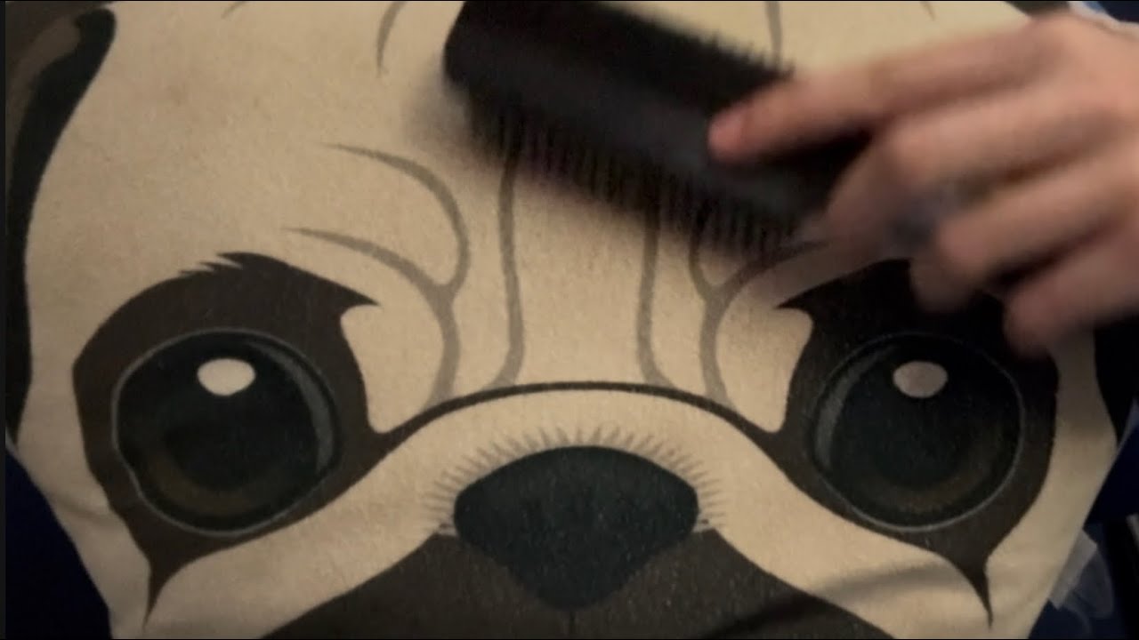ASMR Brushing My Dog Pillow