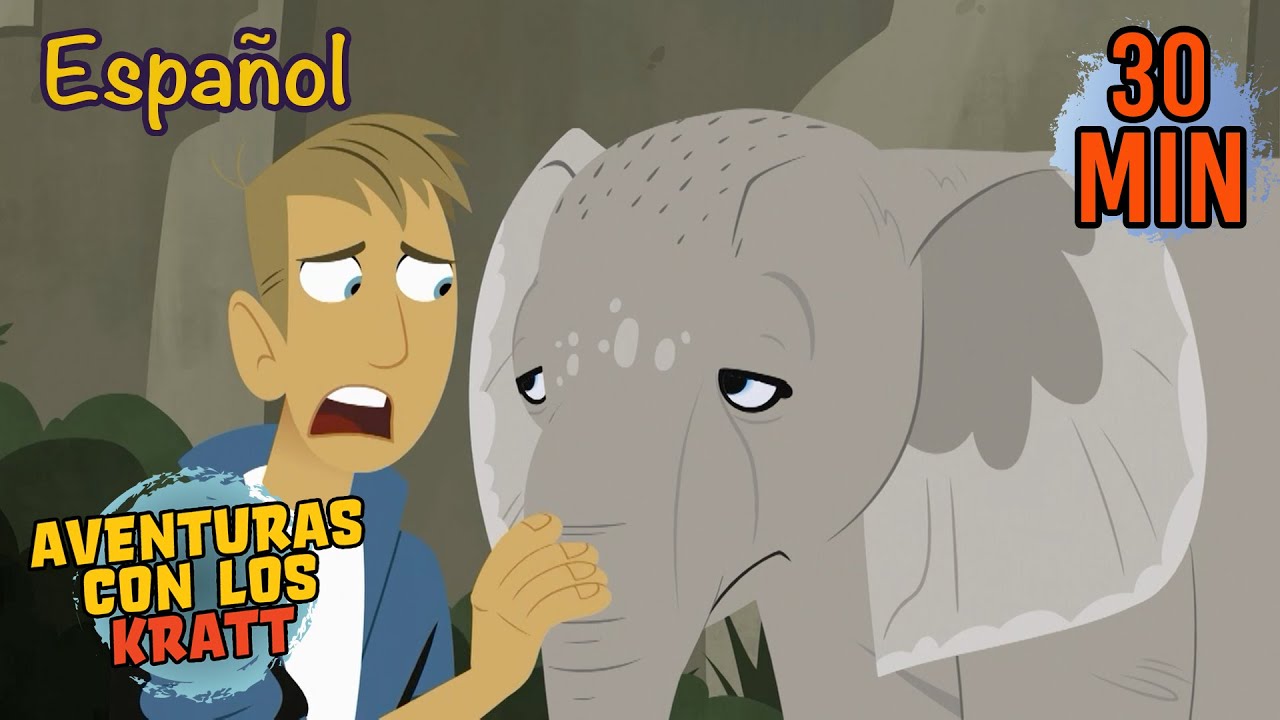 Rescatando a Espinito | Elefantes y Más | Aventuras con los Kratt | 9 Story Kids en Español