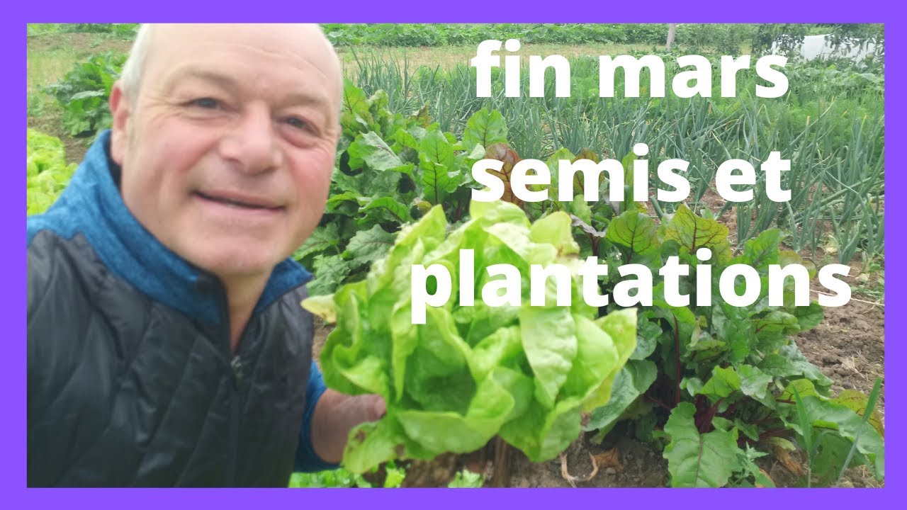 que faire fin mars au jardin : les semis et plantation