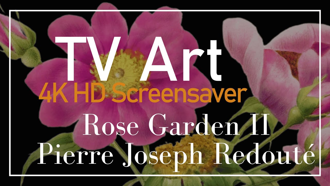 4K HD Elegant Real Art TV Screensaver: P.J. Redouté - Pink Rose Garden II - No Sound, No AI