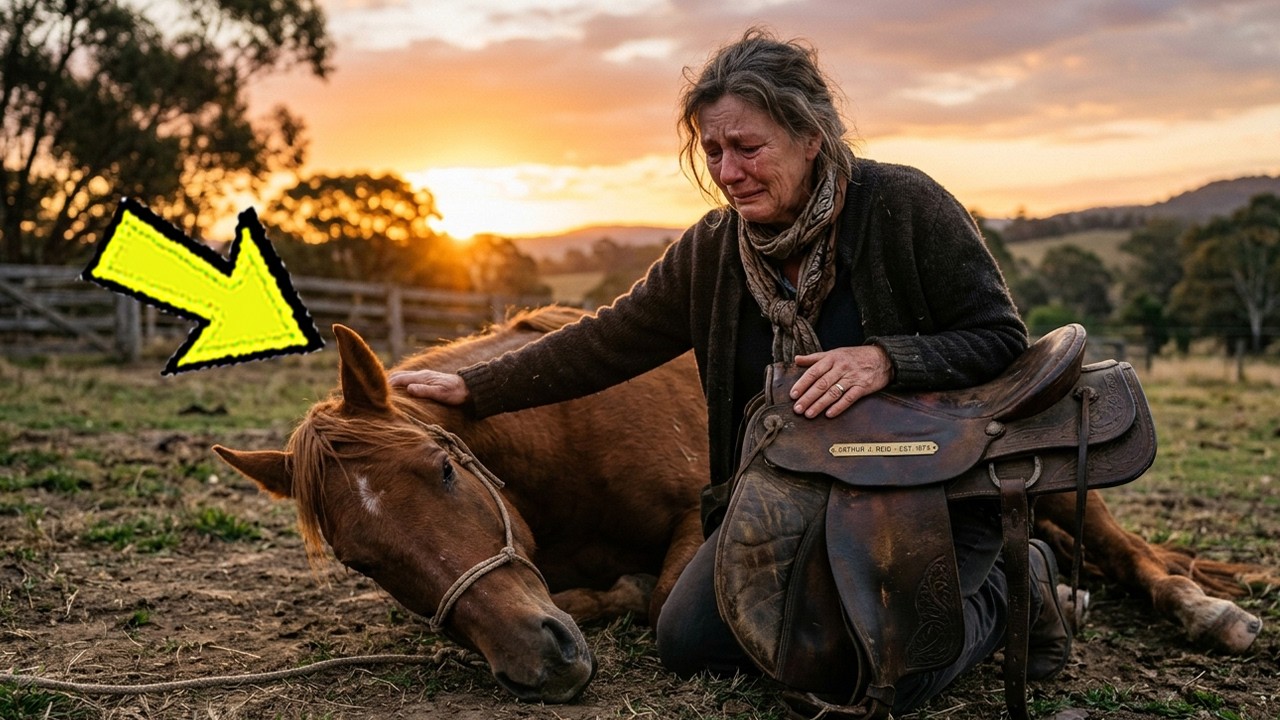 Widow Finds a Dying Horse Carrying Her Husband’s Lost Saddle