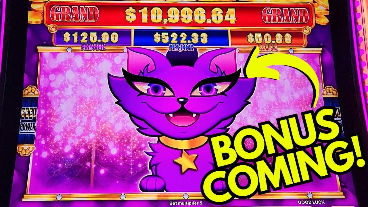 THE KITTY SHOWED UP AND BROUGHT A FUN BONUS on KISMET KAT SLOT MACHINE