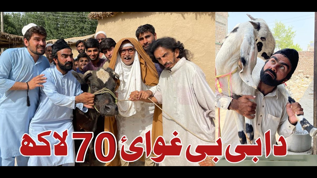 Da Bebe Qurbani || Khawahi Engor drama Episode 11 || Takar Vines #bebevines #maazahmad