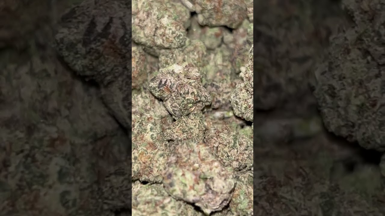 LEMON CHERRY RUNTZ 🍒🔥