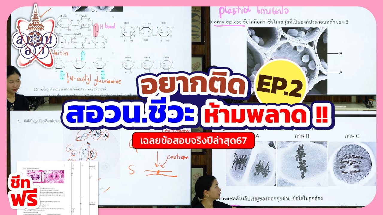ตะลุยโจทย์ สอวน ชีวะ ปีล่าสุด 67 แบบละเอียดที่สุด EP.2