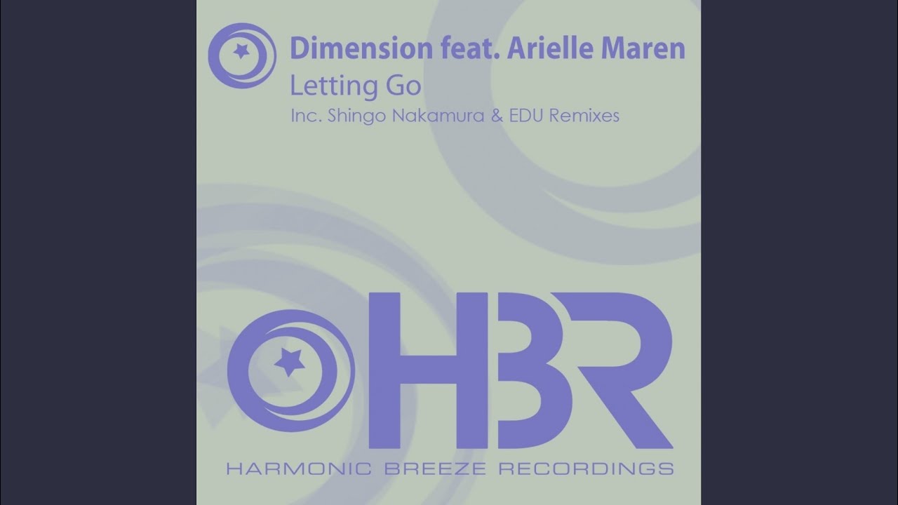 Letting Go (Shingo Nakamura Dub)