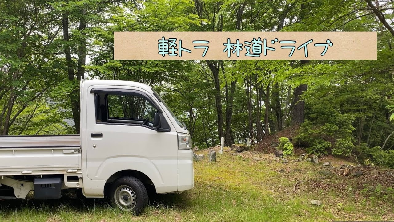 軽トラ　林道ドライブ