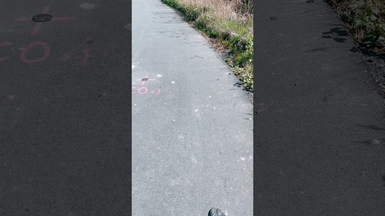 #adventure