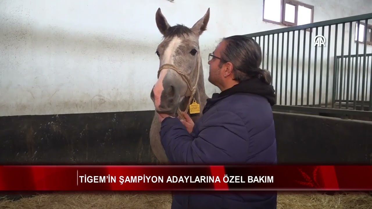 TİGEM’in şampiyon adaylarına özel bakım