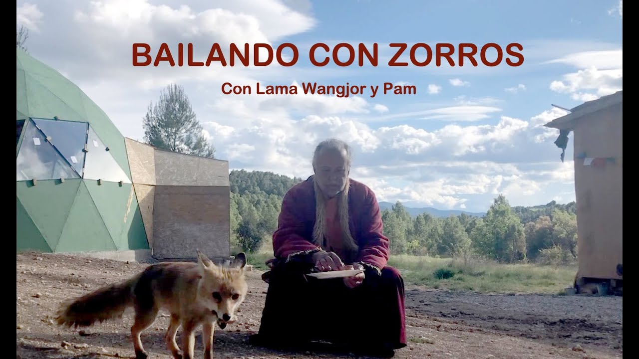 BAILANDO CON ZORROS