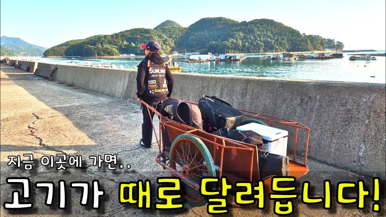 살면서 이런 조과는 처음 봤습니다!