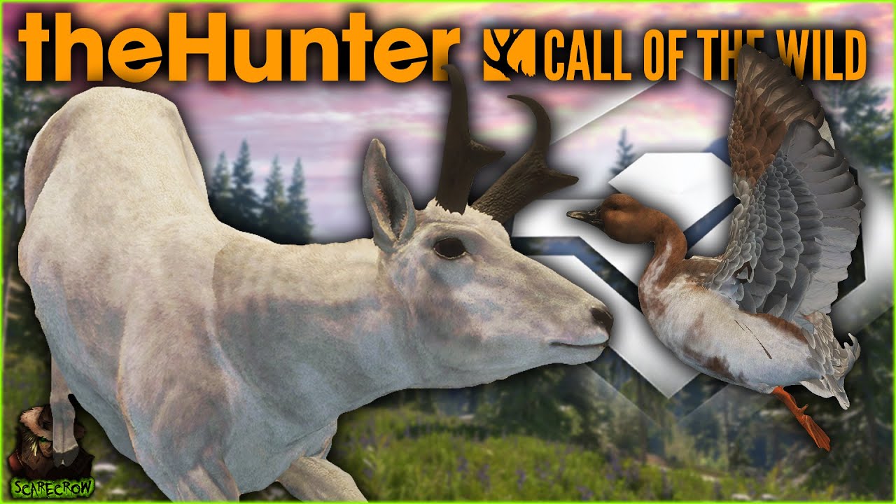9 More Hunts For GORGEOUS Leucistic Trophies! The Hunter Call of the wild