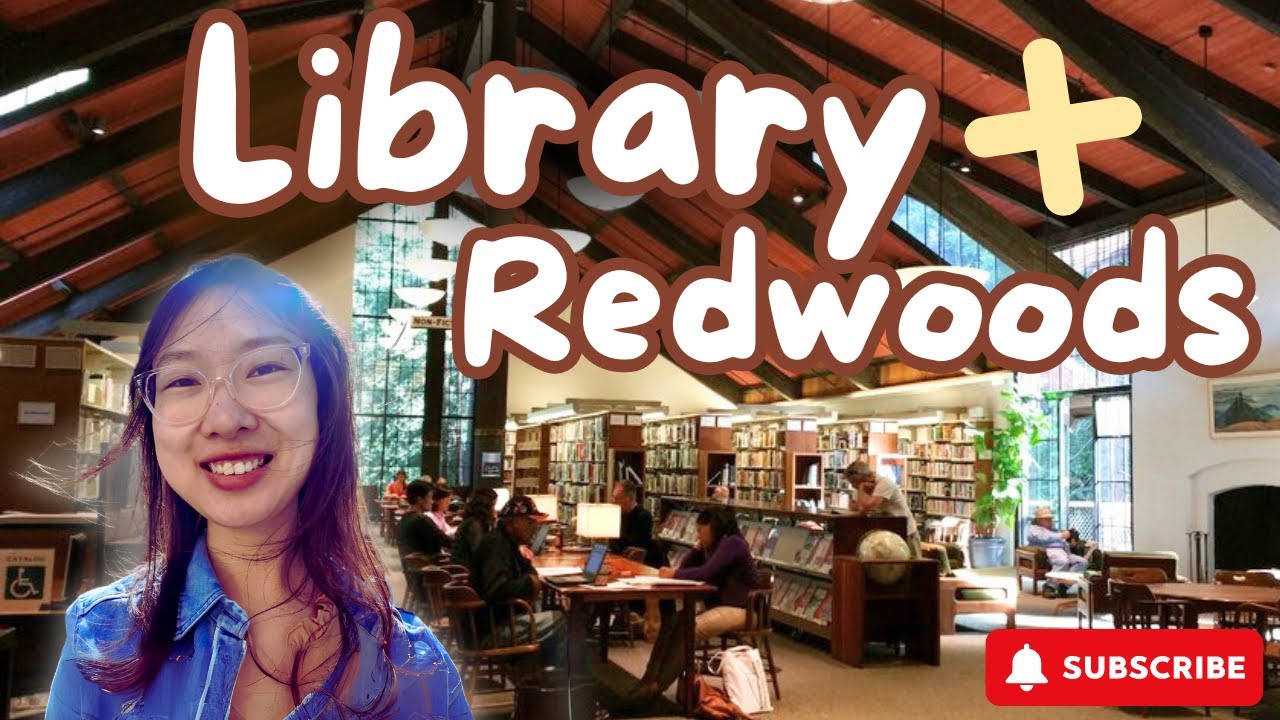 Mill Valley&rsquo;s Library Hidden in the Redwoods 🌲 A Bookworm&rsquo;s Forest Retreat 🌲