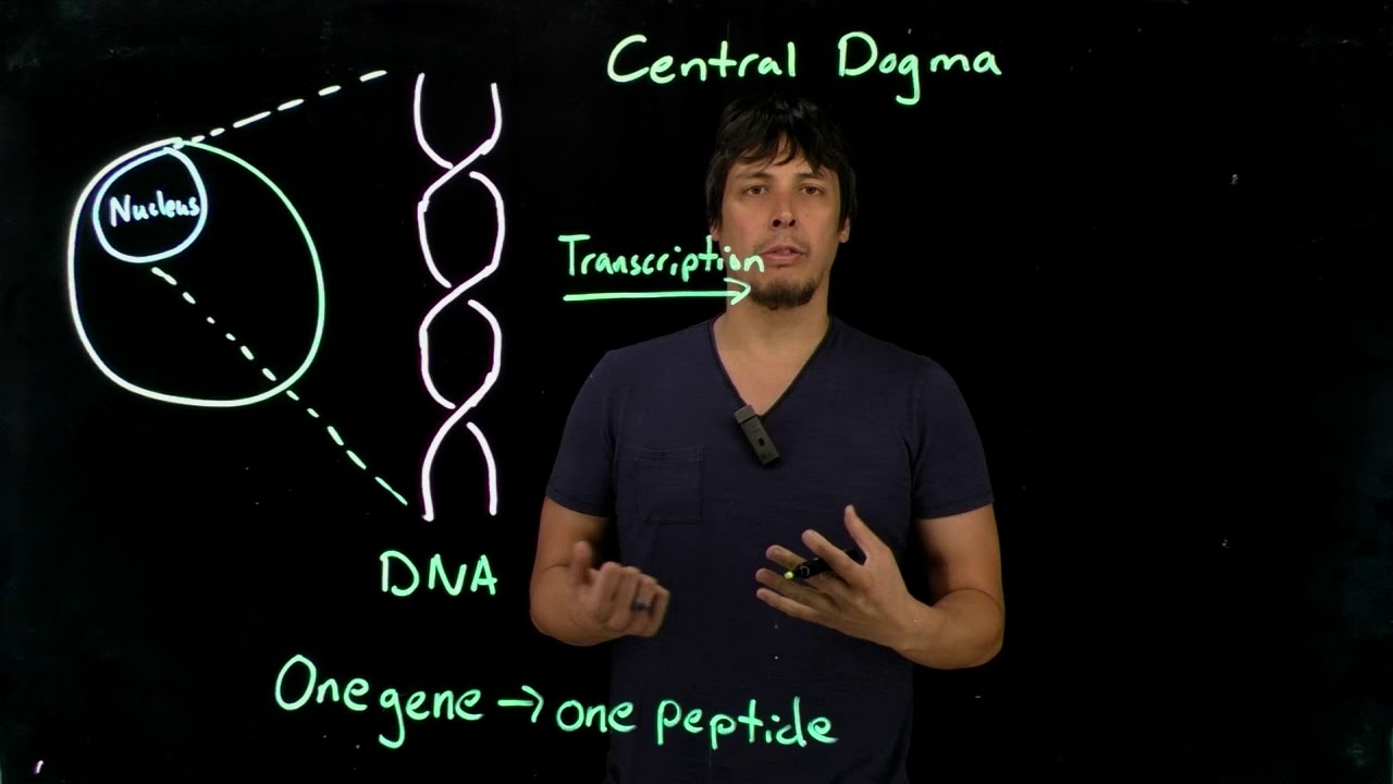 Topic 10.1 - Intro to nucleic acids and nucleotides