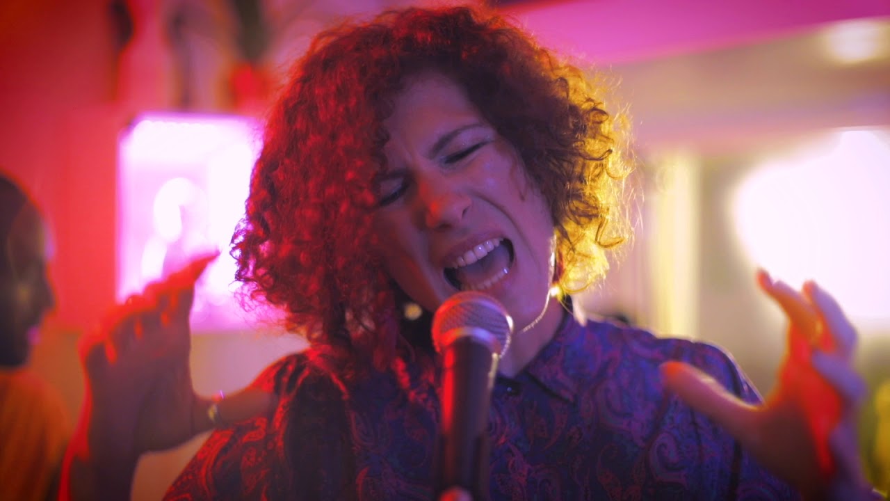 Indigo Face -  The Seed  (Live Performance Video)
