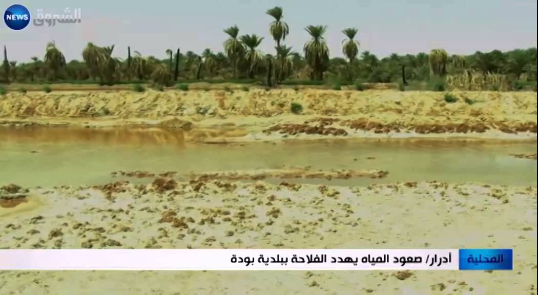 أدرار: صعود المياه يهدد الفلاحة ببلدية بودة
